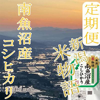 ふるさと納税 南魚沼市 南魚沼産コシヒカリ全6回