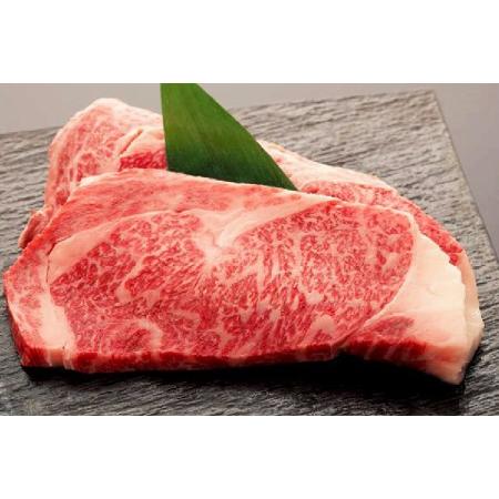 ふるさと納税 亀山精肉店の本気！仙台牛食べ尽くし定期便 仙台牛 ステーキ ヒレ サーロイン ロース 焼肉   気仙沼市物.. 宮城県気仙沼市