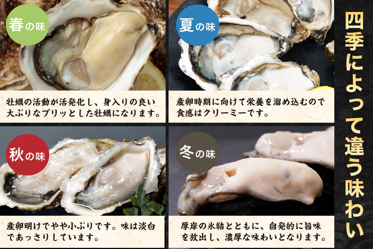 訳あり ハーフ 規格外 牡蠣 北海道厚岸産 殻付カキ 約2kg（11～25個）カキナイフ付 生食