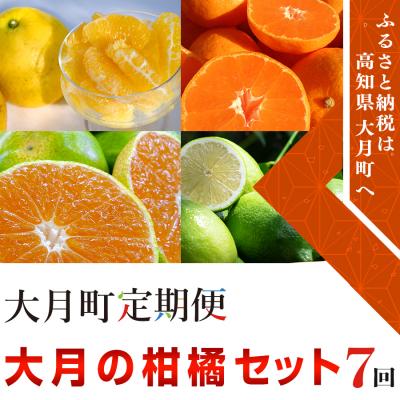 ふるさと納税 大月町 大月町の柑橘セット 計7回