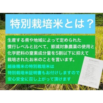 ふるさと納税 新潟県減農薬特別栽培米 そのまんま真空パック  900ｇ×6袋セット 新潟県