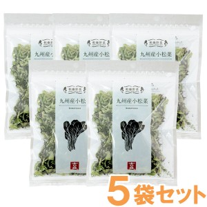 乾燥野菜 九州産小松菜（40g）