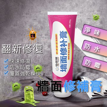 【台灣現貨】牆面修補膏 牆壁修補膏 附送尖嘴蓋 補牆壁 補牆膏 補土 補漆 批土 裂縫修補 壁癌 填縫劑