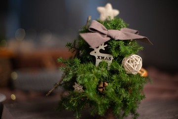 聖誕小樹 | 雪松聖誕小樹DIY材料包