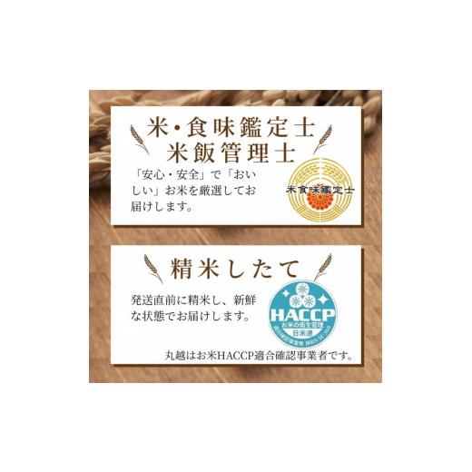 ふるさと納税 京都府 亀岡市 京都丹波産 きぬひかり 5kg × 3ヶ月 計15kg ※米食味鑑定士厳選 ※精米したてをお届け【京都伏見のお米問屋が精米…