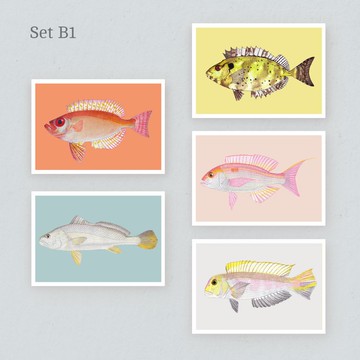 【香港海水魚】明信片 Set B