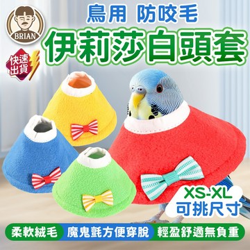 鳥用伊莉莎白頭套【布萊恩👨🏻隔日到貨】鸚鵡脖套 鳥用頭套 鳥頭套 防咬毛頭套 鳥類用品  鳥用脖套 鸚鵡頭套 鳥類衣服