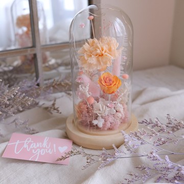 玻璃鐘罩/橘色/不凋花/永生花/乾燥花/康乃馨/母親節/禮物