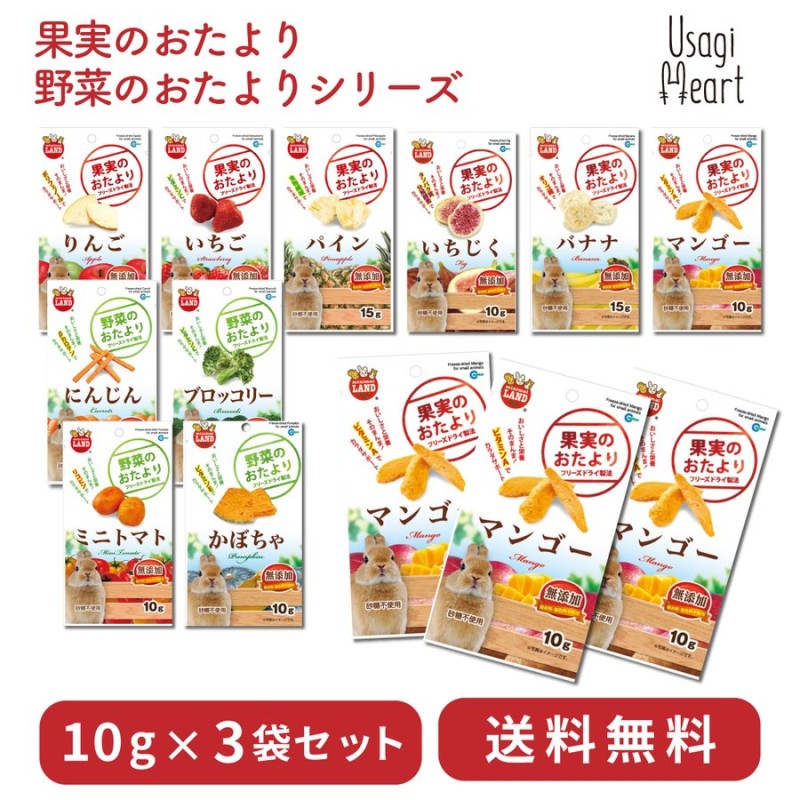 驚きの値段で】 マルカン 直送 果実のおたより いちご 10g入数36 fisd.lk