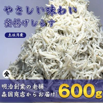 ふるさと納税 南国市 釜揚げしらす高知県土佐湾産600g(300g×2袋)新鮮・ふわふわ鮮度抜群!