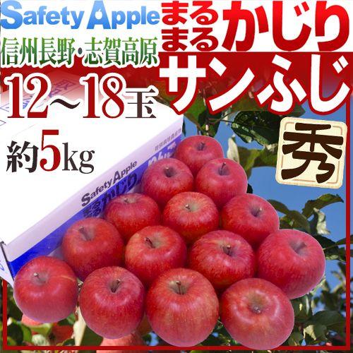 りんご 長野産 ”まるまるかじりサンふじ” 秀品 大玉12〜18玉 約5kg 産地箱 送料無料