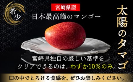 太陽のタマゴ 2玉 約1kg 完熟 マンゴー 濃厚 宮崎 高級 果物 フルーツ 贈答 ギフト 先行受付 送料無料（14-67）