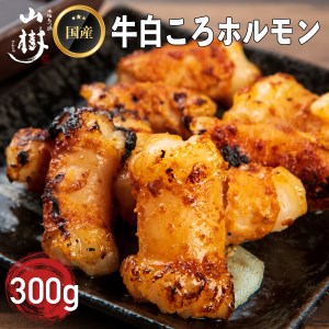 山樹の国産牛白ころホルモン焼き（丸腸）味付　300g [047R19]