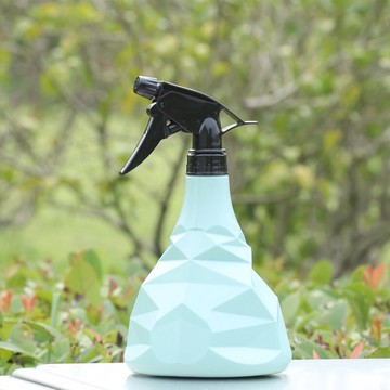 室內噴霧瓶多邊形噴壺家用噴水壺小號小型澆水噴壺淋花園藝灑水壺
