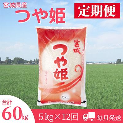 ふるさと納税 登米市 2024年1月発送開始『定期便』宮城県登米市産つや姫精米5kg　全12回