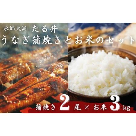 ふるさと納税 水郷大洲たる井の「国産うなぎ蒲焼き2尾」と大洲産のお米 愛媛県大洲市