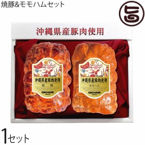 ギフト オキハム 焼豚＆モモハムセット