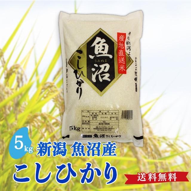 令和5年度産 新米 魚沼産 こしひかり 5kg 送料無料 新潟県 お米 5キロ