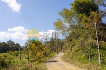 竹東橫山/稀有美農林地/有大小塊農林地可選/C｜新竹縣橫山鄉沙坑