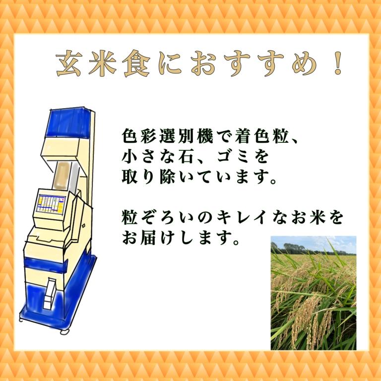 特別栽培米  玄米30kg 秋田県大潟村産　あきたこまち玄米３０kg（１０kg×３）令和5年産　農家直送玄米30キロ　　送料無料