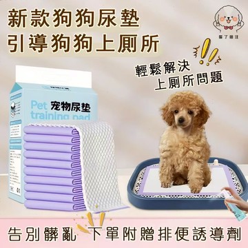 🔥新品現貨🔥寵物尿布墊 尿布墊 隔尿墊 寵物尿墊 寵物尿布 狗尿布墊 狗尿墊 狗狗尿布墊 寵物吸水尿墊 狗狗吸水尿墊