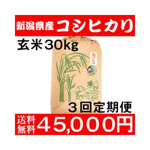 お米 30kg 玄米 送料無料 新潟県糸魚川産 農家直送 コシヒカリ 新米 令和5年度産 3回定期便