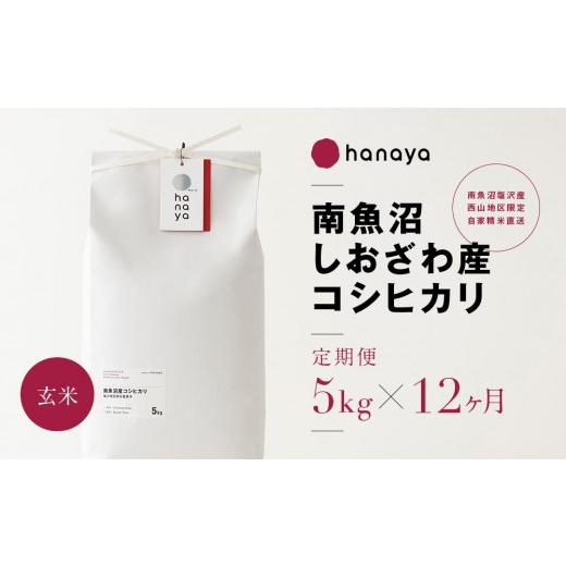 ふるさと納税 新潟県 南魚沼市 ＜定期便＞南魚沼しおざわ産コシヒカリ　従来品種　玄米5ｋｇ×全12回