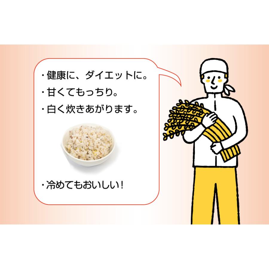 ICHI 国産51種の雑穀 300g 2袋