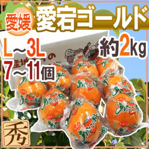 愛媛県 ”愛宕ゴールド” 秀品 L～3L 7～11玉 約2kg 愛宕柿 送料無料