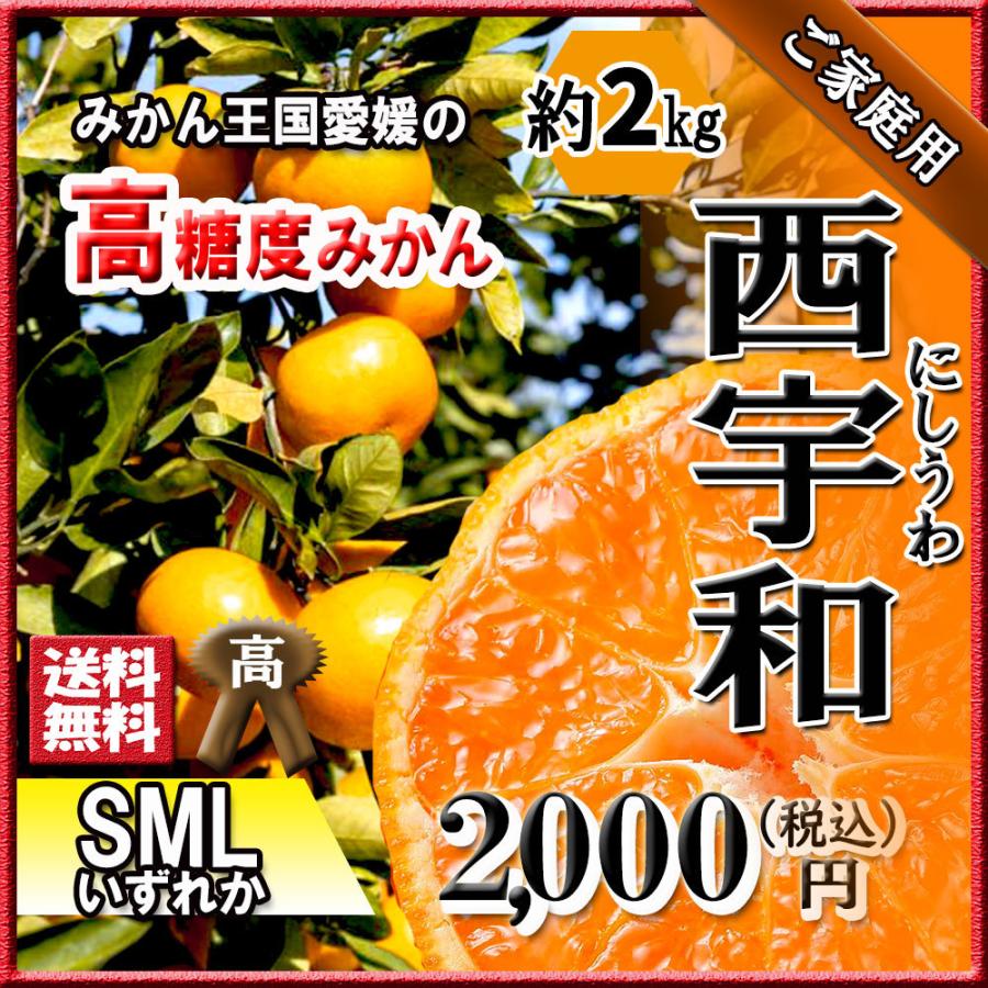 西宇和みかん 家庭用 高糖度 温州みかん みかん 西宇和 甘いみかん S M L いずれか 約2ｋｇ