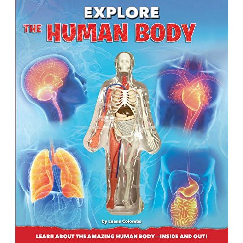 Explore the Human Body