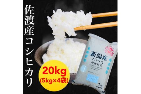 佐渡羽茂産コシヒカリ 5kg×4袋セット