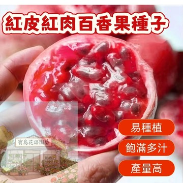 🔥紅皮紅肉百香果種子BXG-4 西番蓮種子 時計果 時鐘果  果實飽滿 薄皮 營養豐富  香甜可口 易種植 產量高