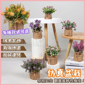 小盆栽 辦公室盆栽 盆栽 花盆 假盆栽 仿真盆栽 仿真植物 假花 假植物 桌面盆栽 迷你盆栽 仿真植物 裝飾 居家擺設