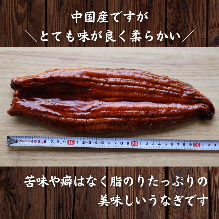 超特大うなぎ蒲焼（400g前後） 2尾入  ウナギ 鰻 うな丼 贅沢 ギフト 蒲焼