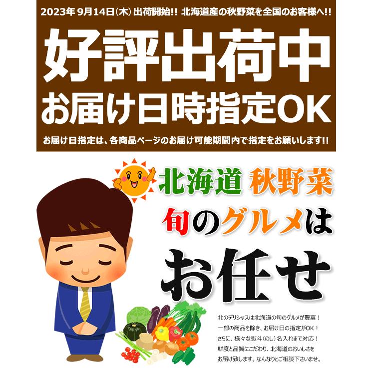 お歳暮 北海道産 野菜セットBs 5kg(メークイン 3kg・玉ねぎ 2kg) 旬 じゃがいも 玉葱 野菜 ギフト セット 詰め合わせ 北海道 グルメ お取り寄せ