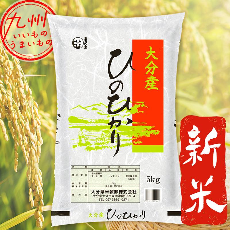 大分県産ひのひかり 令和4年収穫新米 - その他