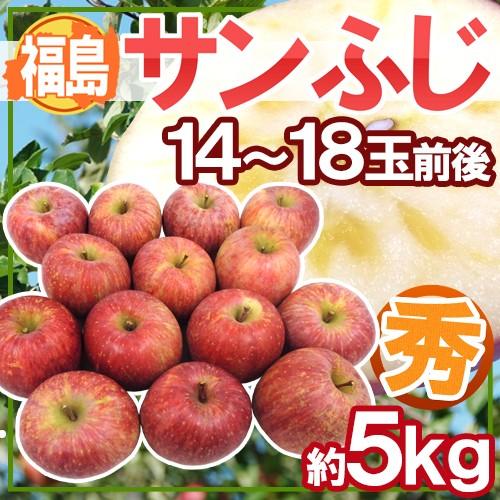 りんご 福島産 ”蜜入りサンふじりんご” ○秀品 14〜18玉前後 約5kg 送料無料