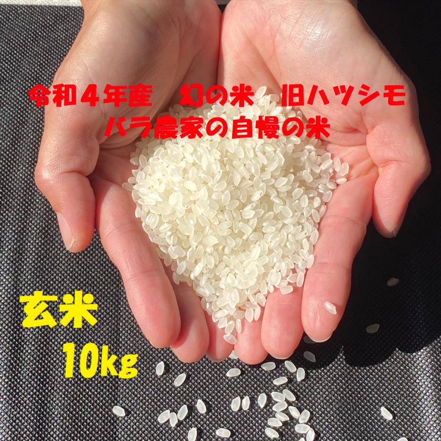 令和５年産 ☆新米☆ 玄米 10kg 岐阜県産 ハツシモ 米 幻のお米 減農薬