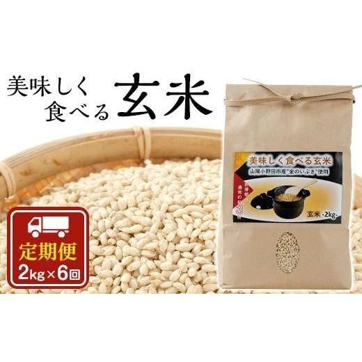 ふるさと納税 山口県 山陽小野田市 美味しく食べる玄米2kg（2か月毎定期便）