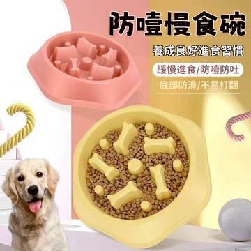 慢食碗 慢食狗碗 寵物慢食物碗 寵物碗 狗慢食碗 寵物飯碗防噎 狗狗緩食碗 慢食柱設計 防滑腳墊貓碗 狗碗 寵物飼料碗