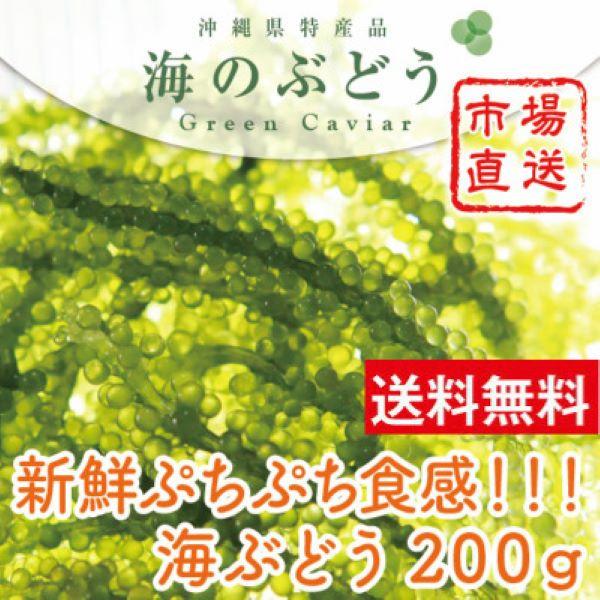 沖縄県産 海ぶどう 200g タレ付 海産物 海藻類