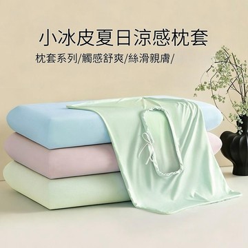 【現貨隔日達】夏季冰絲冷感枕套 涼感枕頭套 記憶棉枕套 通用尺寸 透氣涼爽枕套 涼感枕套 枕頭套 枕頭墊 枕芯保護套