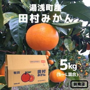 BL6013n_和歌山 湯浅町産 田村みかん 5kg S～Lサイズ混合