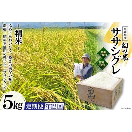 ふるさと納税 12回 定期便 希少品種米 ササシグレ 精米 5kg×12回 総計60kg   長沼 太一   宮城県 加美町 宮城県加美町