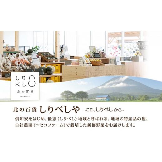 ふるさと納税 北海道 倶知安町 北海道産 雪の下育ちのくっちゃんポテトスープ 180g×8個 小分け 個包装 レトルト スープ ポタージュ じゃがいも 馬鈴薯 ポテト…