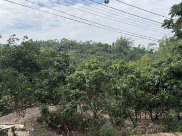 專約*番路鄉內甕段休閒山坡農牧用地｜嘉義縣番路鄉內甕段