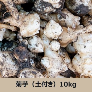 菊芋（土付き）10kg ※送料無料（一部地域を除く）農薬・化学肥料・除草剤不使用 健康サポート農園（大阪）産地直送