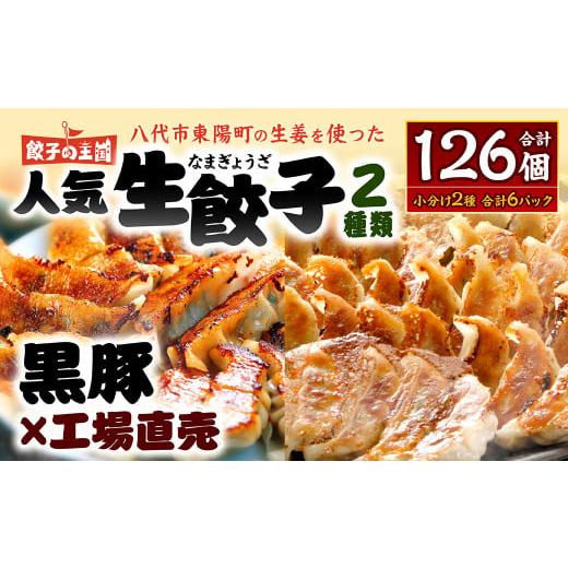 ふるさと納税 熊本県 八代市 八代市東陽町の生姜を使った 餃子の王国 人気生餃子126個 ぎょうざ ギョウザ