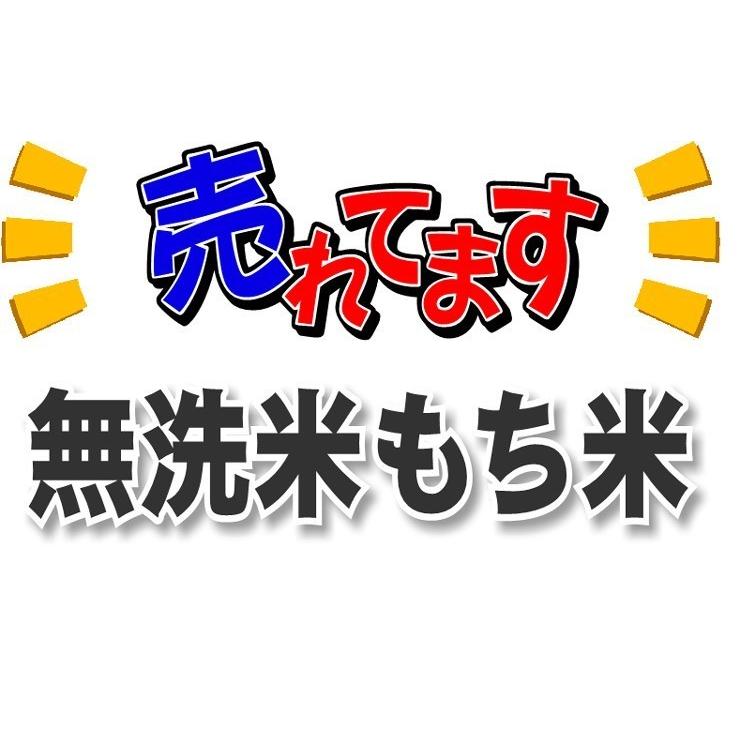 もち米 20kg 無洗米 送料無料 餅米 九州産 ヒヨクモチ 5kg×4